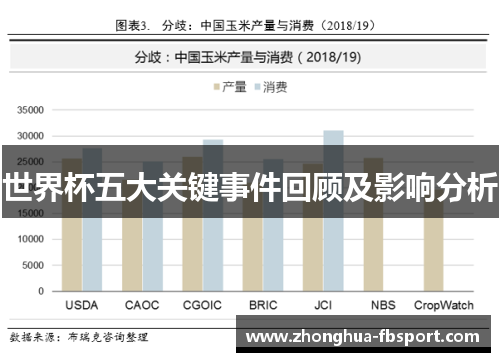 世界杯五大关键事件回顾及影响分析