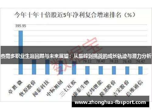 费南多职业生涯回顾与未来展望：从巅峰到挑战的成长轨迹与潜力分析